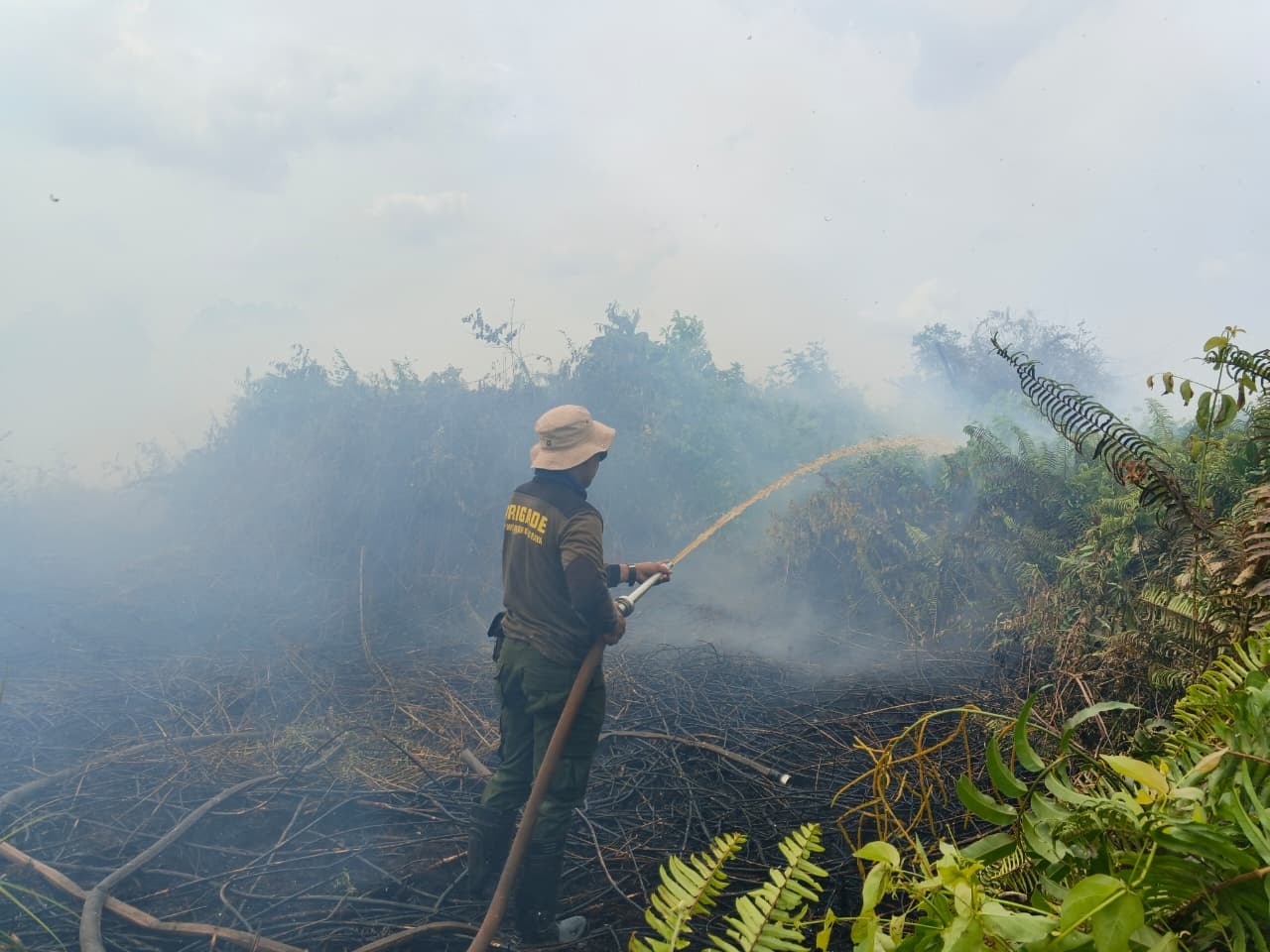 ‎Api Karhutla di Arang Limbung Berhasil Diputus, Pemadaman Terkendala Air