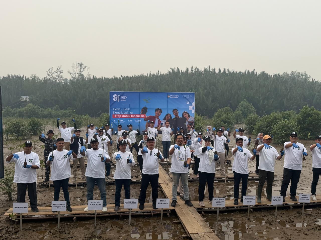 Widodo Bersama InJourney Tanam 14.000 Mangrove, Jaga Ekosistem Hilir Sungai Kapuas
