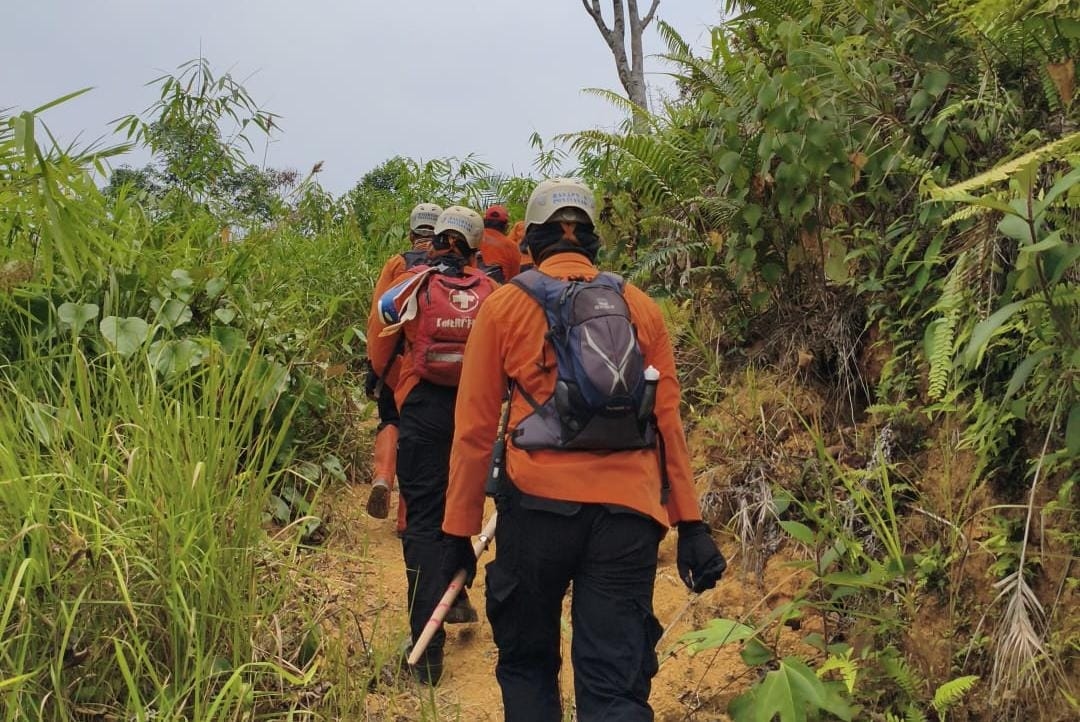 Pencarian Tujuh Hari Nihil, Asan yang Hilang di Kebun Entikong Belum Ditemukan