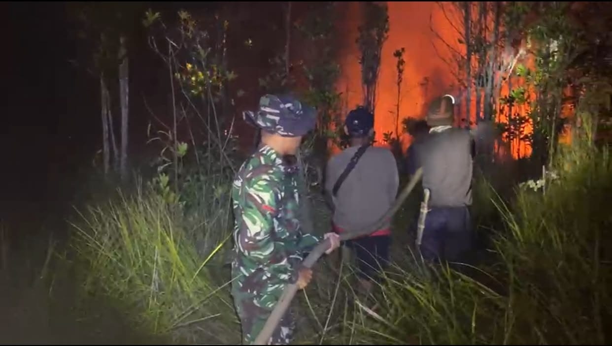 Karhutla Kembali Terjadi di Silat Hilir, Api Berhasil Dipadamkan