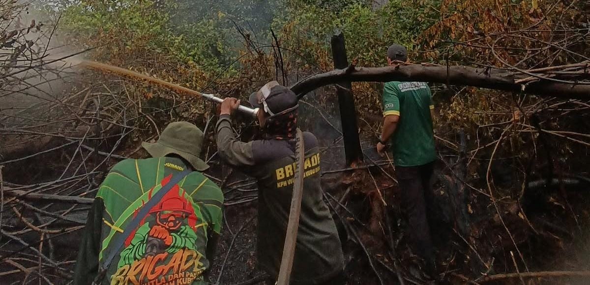 Karhutla Kubu Raya Masih Membara, Tim Gabungan Kesulitan Tembus Hutan