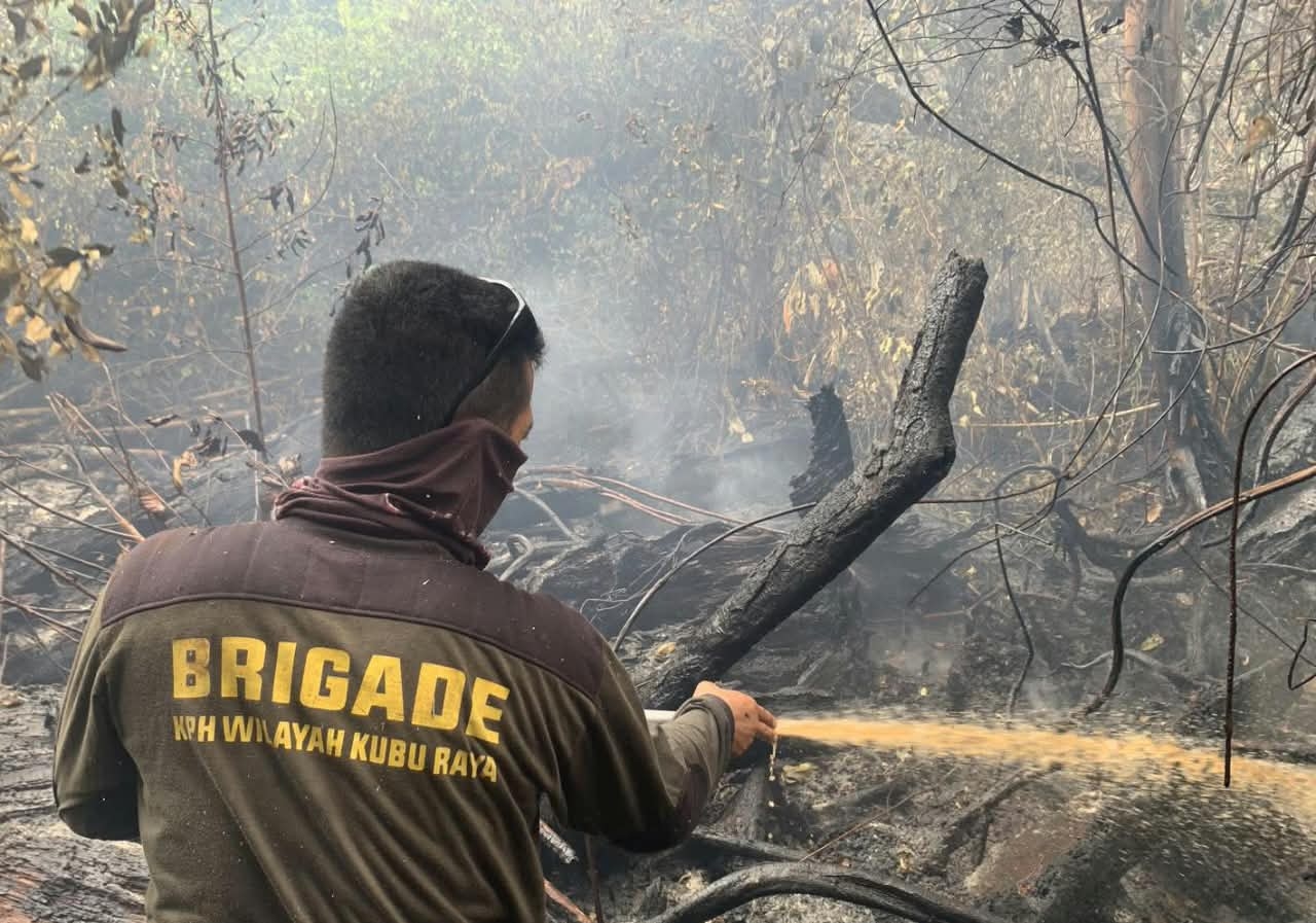 56 Hari Berjibaku dengan Karhutla, KPH Kubu Raya Kini Padamkan Api di Hutan Tebedak