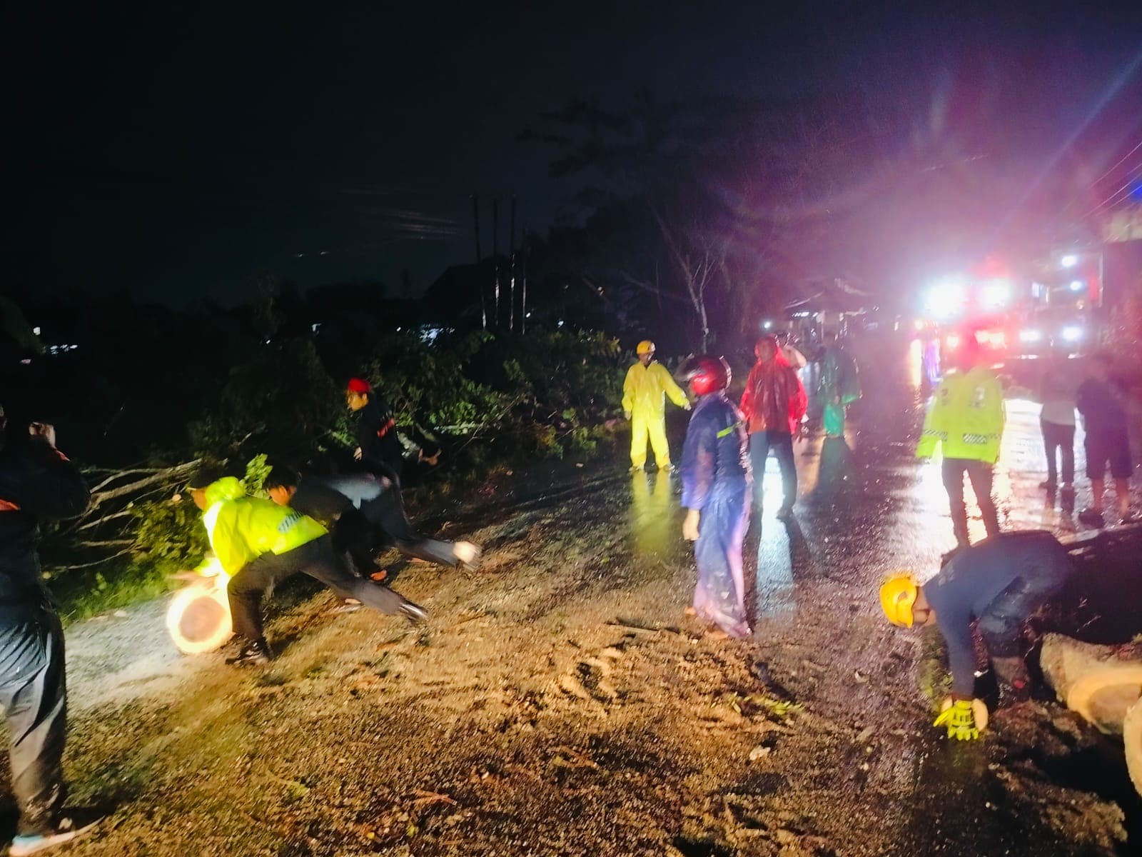 Hujan Disertai Angin Kencang Sebabkan Pohon Tumbang, BPBD Kubu Raya dan Relawan Sigap Menangani