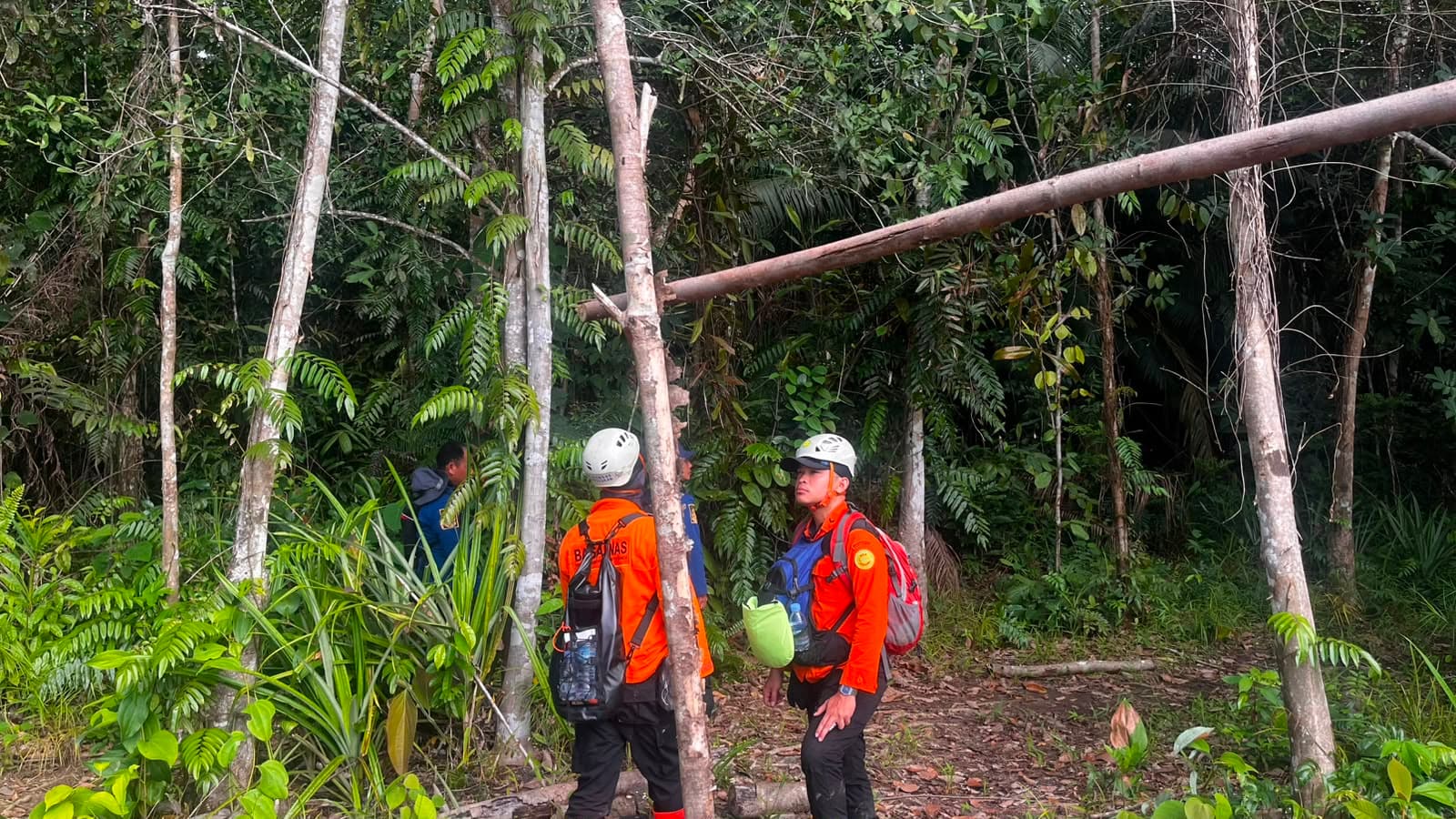 Hari Ketujuh Pencarian, Operasi SAR Korban Hilang di Kebun Sawit Sekadau Resmi Ditutup