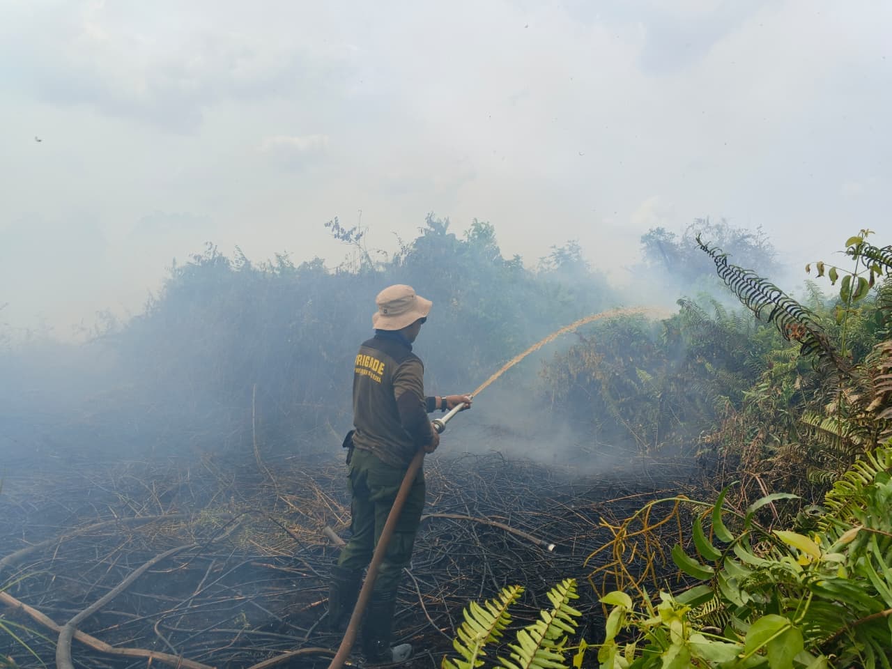 ‎Api Karhutla di Arang Limbung Berhasil Diputus, Pemadaman Terkendala Air