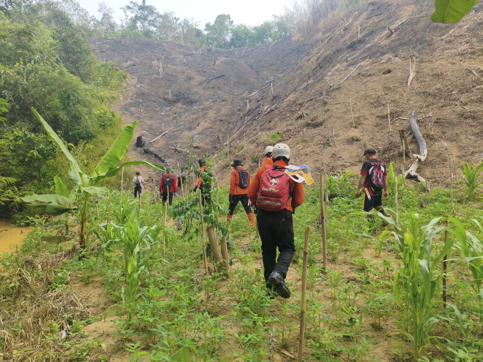 Tim SAR Gabungan Perluas Pencarian Warga Hilang di Hutan Entikong