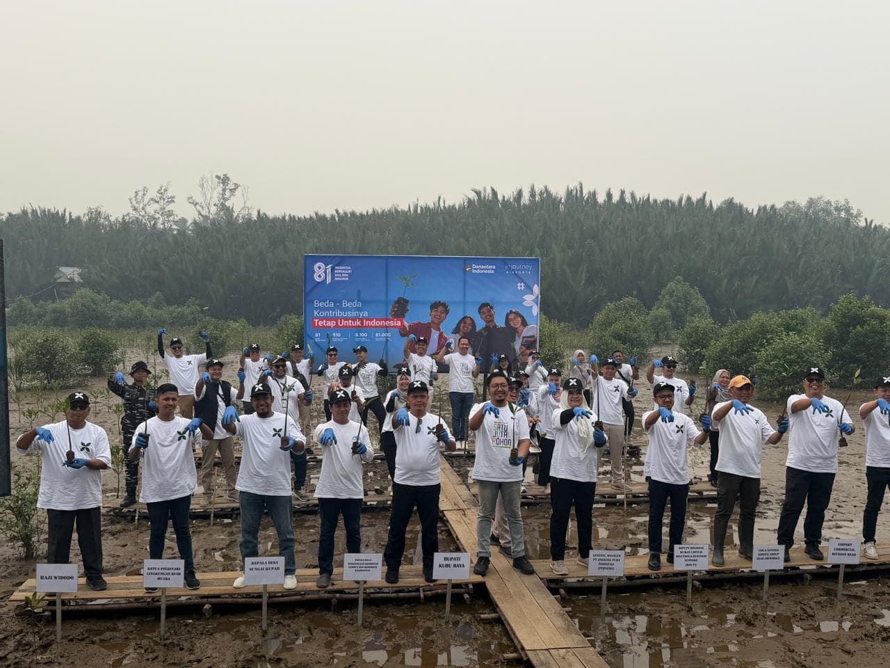 Widodo Bersama InJourney Tanam 14.000 Mangrove, Jaga Ekosistem Hilir Sungai Kapuas