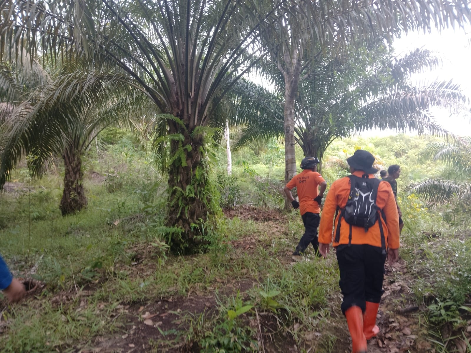 Tim SAR Gabungan Cari Pria Hilang di Kebun Sawit Sekadau Hulu