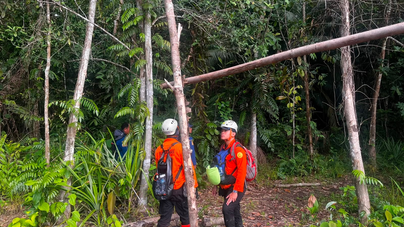 Hari Ketujuh Pencarian, Operasi SAR Korban Hilang di Kebun Sawit Sekadau Resmi Ditutup