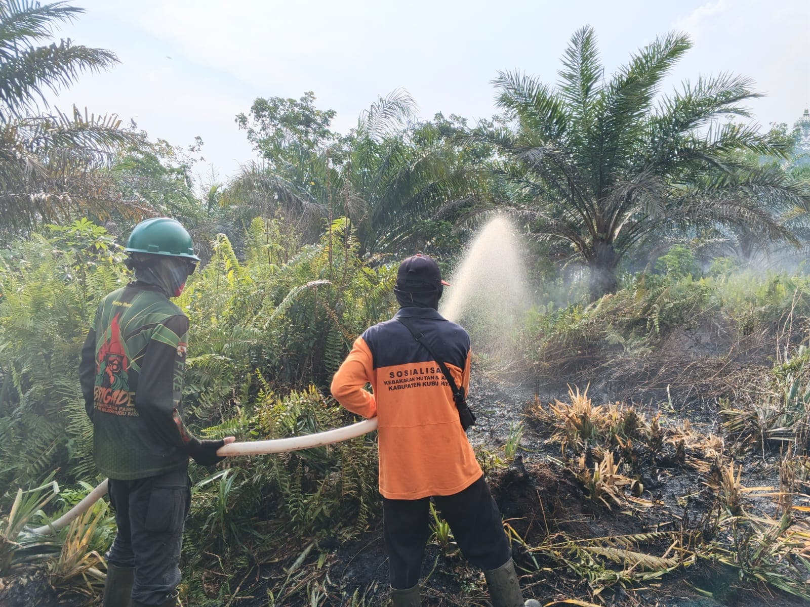 Karhutla di Kubu Raya Masih Berlangsung, Petugas Berjibaku Padamkan Api di Rasau Jaya*